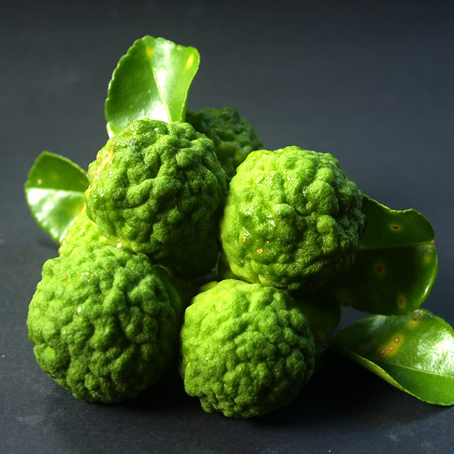 Bergamot Calabrian Essential Oil 15 ml