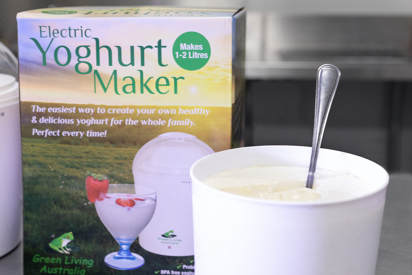 Yoghurt Container Insert with Lid - 2 litre
