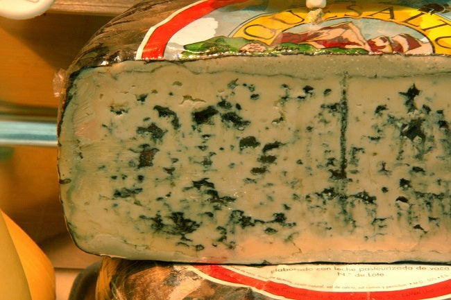 Vegan Penicillium Roquforti