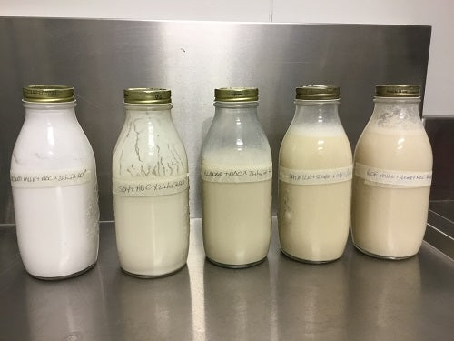 Acidophilus Milk, Dairy or Non-Dairy